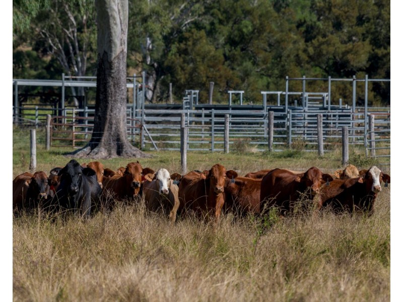 8980 D’Aguilar Highway, Moore QLD 4306