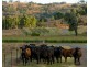 8980 D’Aguilar Highway, Moore QLD 4306