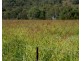 8980 D’Aguilar Highway, Moore QLD 4306