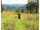 Lot 1 Wells Station Road, Biarra QLD 4313