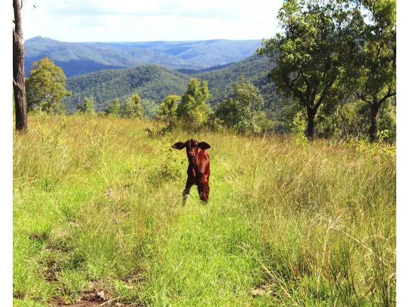 Lot 1 Wells Station Road, Biarra QLD 4313