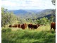 Lot 1 Wells Station Road, Biarra QLD 4313