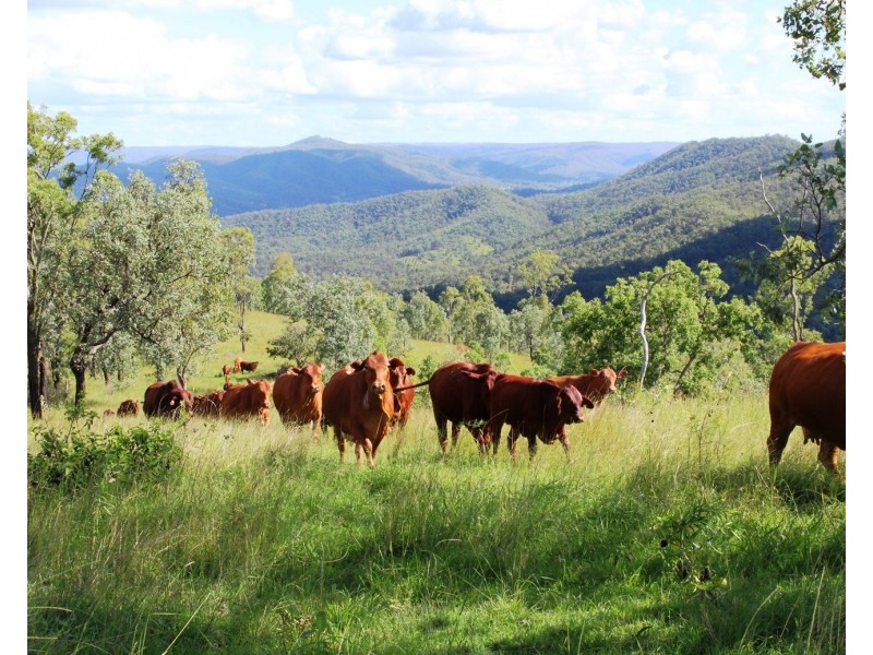 Lot 1 Wells Station Road, Biarra QLD 4313