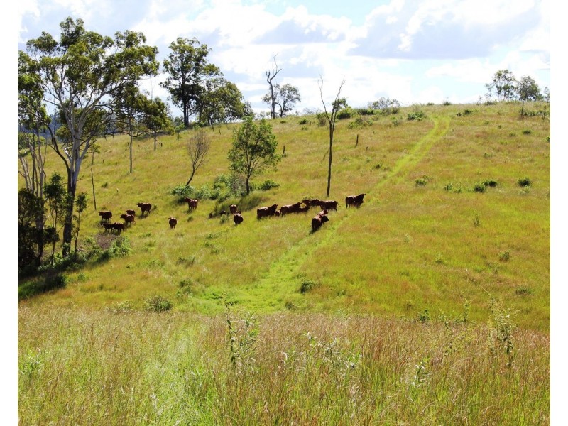 Lot 1 Wells Station Road, Biarra QLD 4313