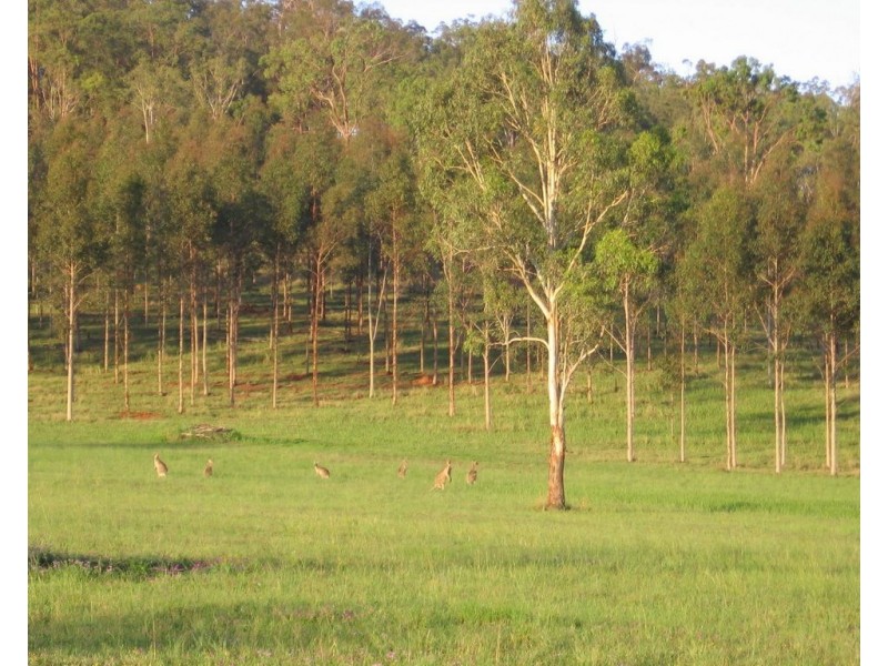 600 Esk Hampton Road, Redbank Creek QLD 4312