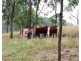 Harlin QLD 4306