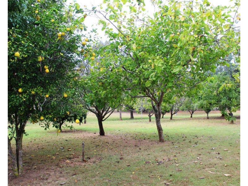 31 O’Grady Road, Redbank Creek QLD 4312