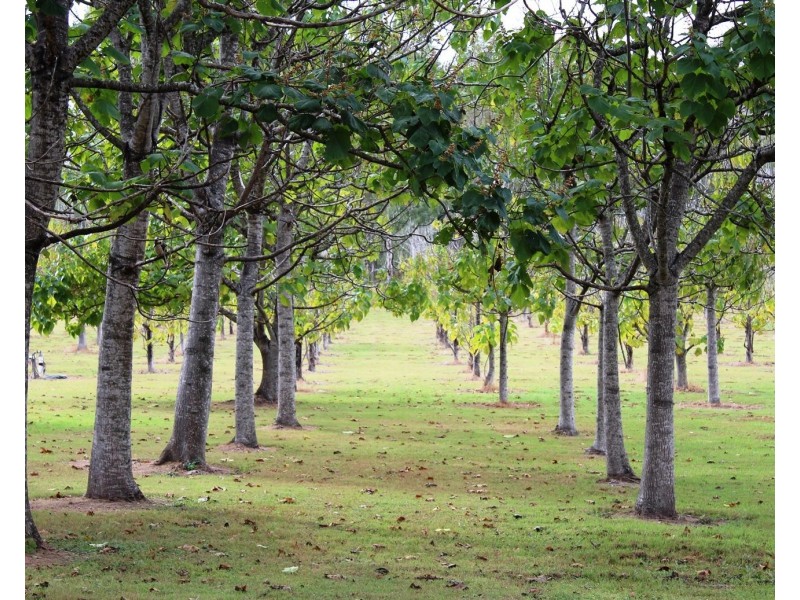 31 O’Grady Road, Redbank Creek QLD 4312