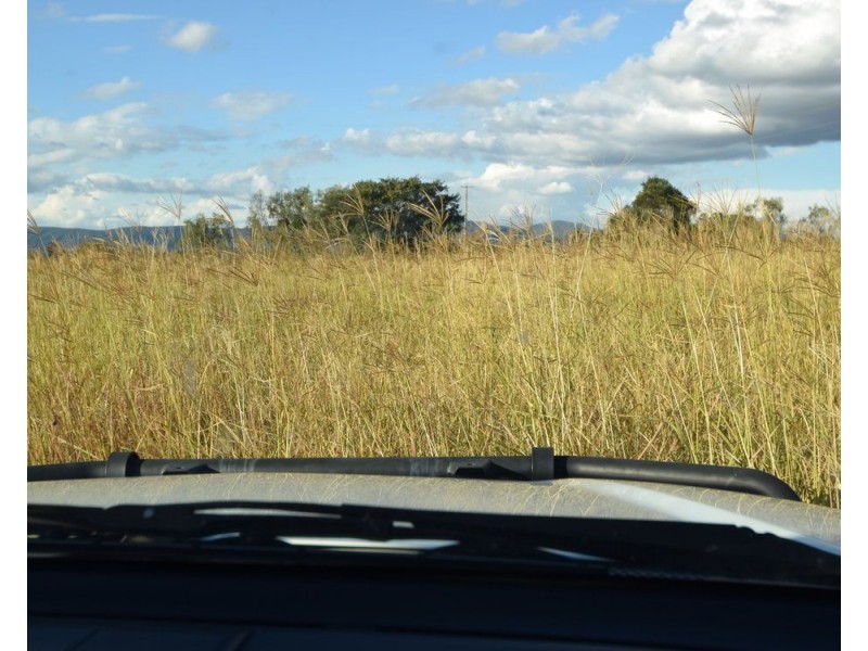 47 Bulow Lane, Mount Beppo QLD 4313