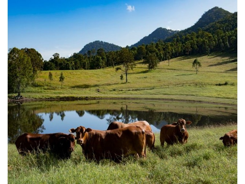 40 Traves Road, Sandy Creek QLD 4515