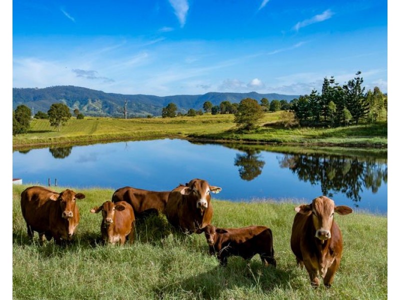 40 Traves Road, Sandy Creek QLD 4515