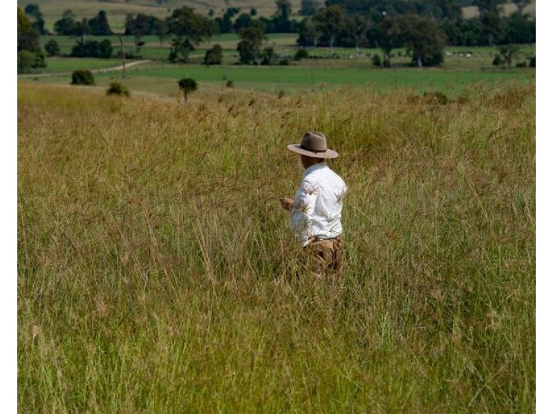 40 Traves Road, Sandy Creek QLD 4515