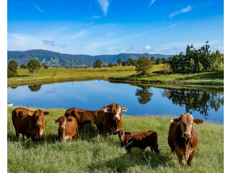 40 Traves Road, Sandy Creek QLD 4515