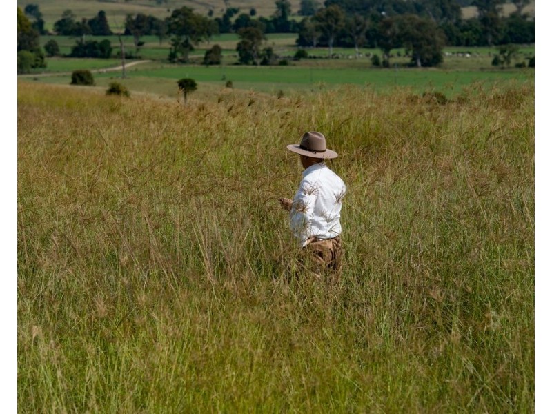 40 Traves Road, Sandy Creek QLD 4515