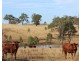 Lot 1 Woolshed Road, Emu Creek QLD 4355