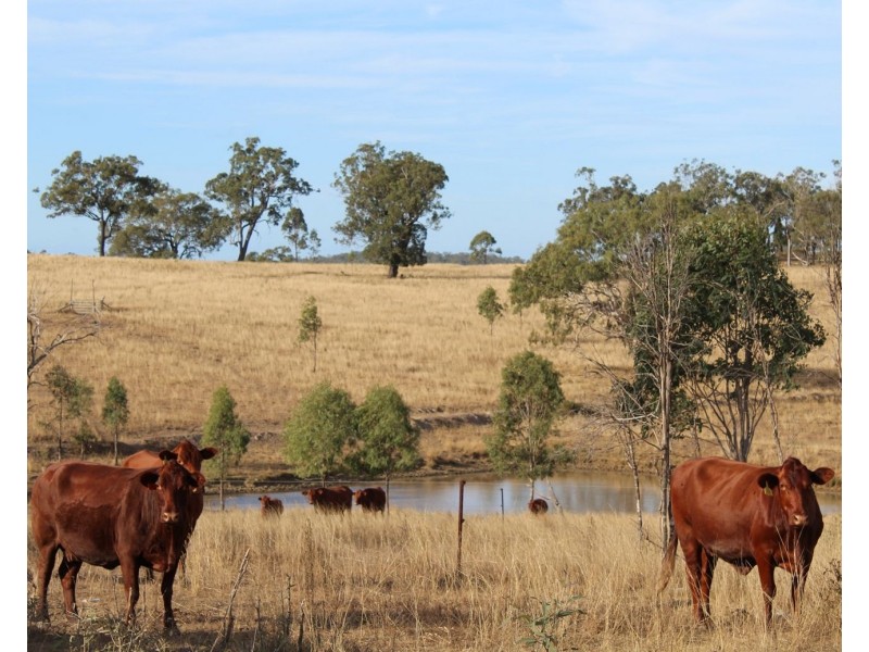 Lot 1 Woolshed Road, Emu Creek QLD 4355