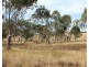 Lot 1 Woolshed Road, Emu Creek QLD 4355