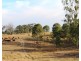 Lot 1 Woolshed Road, Emu Creek QLD 4355