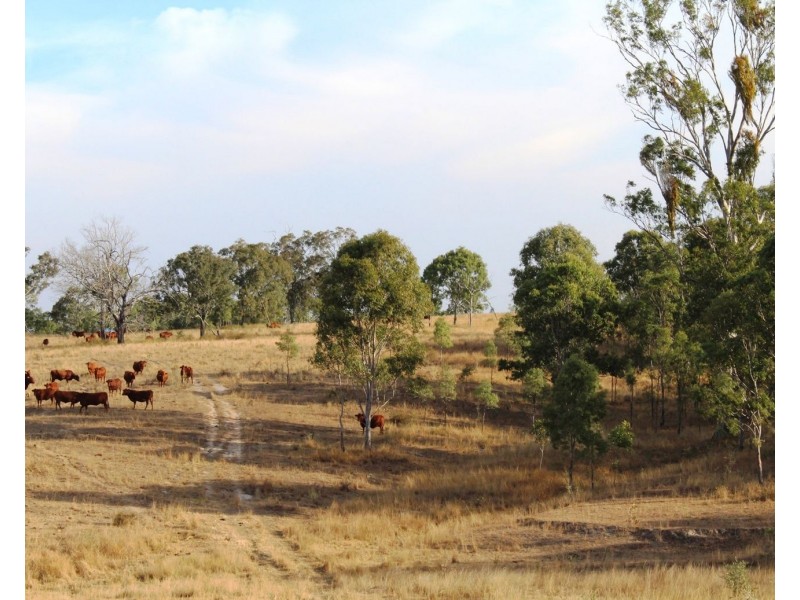 Lot 1 Woolshed Road, Emu Creek QLD 4355