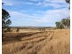 Lot 1 Woolshed Road, Emu Creek QLD 4355