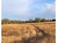 Lot 1 Woolshed Road, Emu Creek QLD 4355