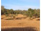 Lot 1 Woolshed Road, Emu Creek QLD 4355