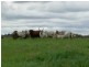 Borallon QLD 4306