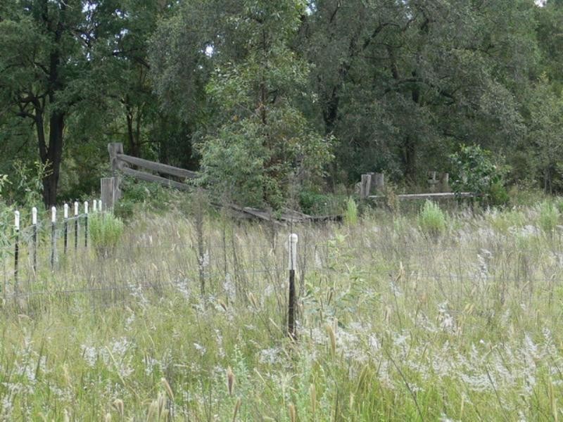 Spring Creek QLD 4343