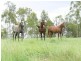 Bryden QLD 4312