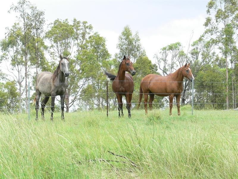 Bryden QLD 4312