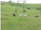 Bryden QLD 4312