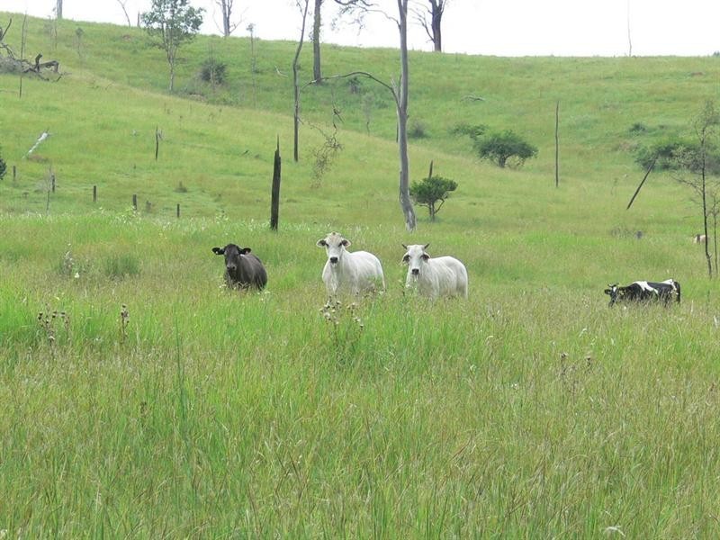 Bryden QLD 4312