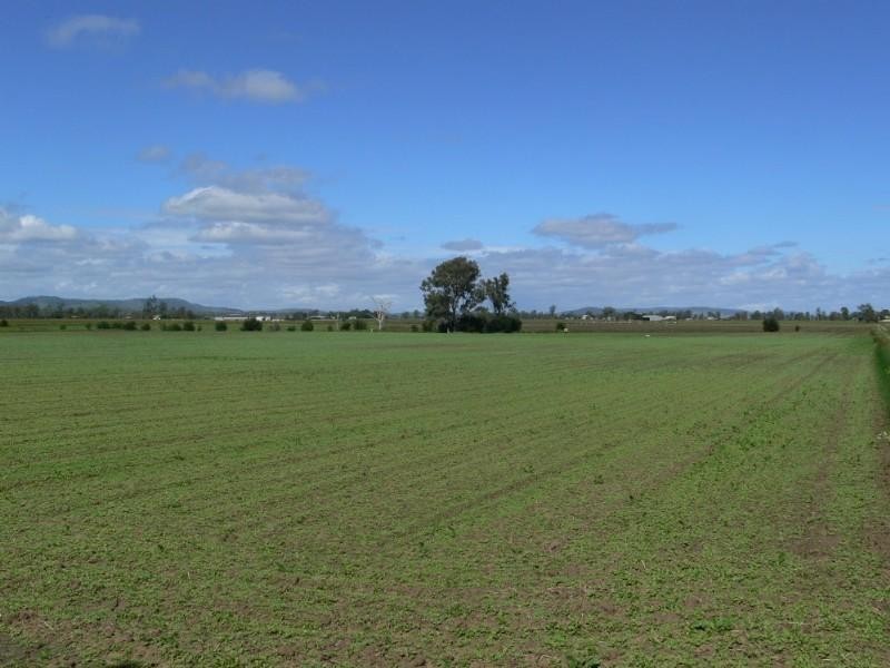 Lowood QLD 4311