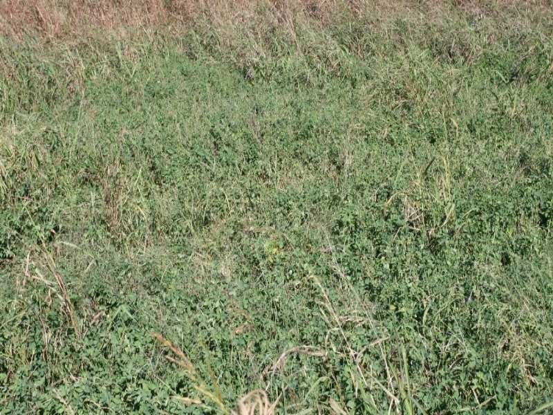 Lot 2 Mount Beppo Road, Toogoolawah QLD 4313