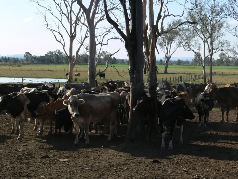 Rifle Range QLD 4311