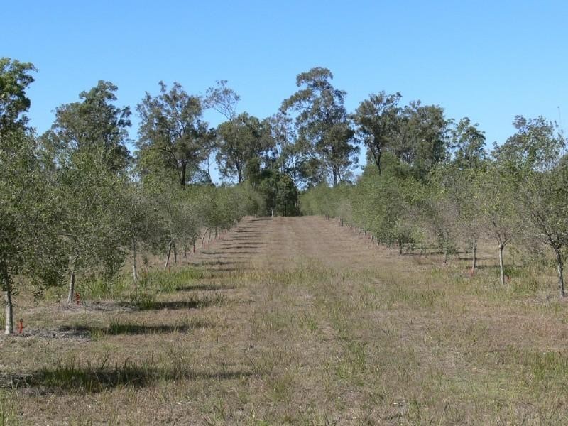 Mount Hallen QLD 4312