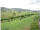 Mount Kilcoy QLD 4515