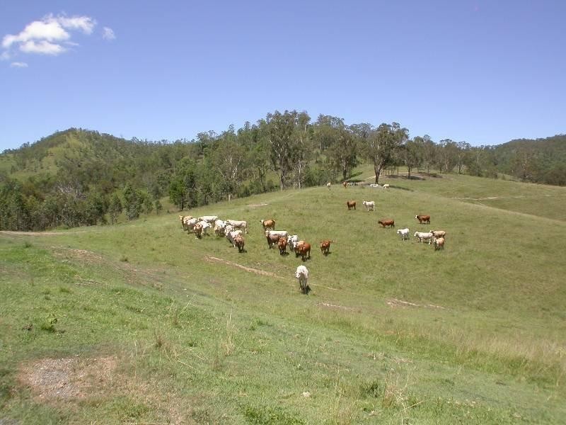 Mount Kilcoy QLD 4515