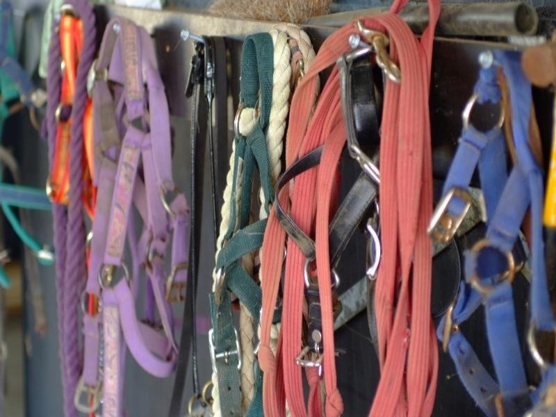 Rifle Range QLD 4311