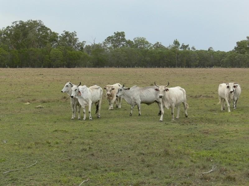Esk QLD 4312