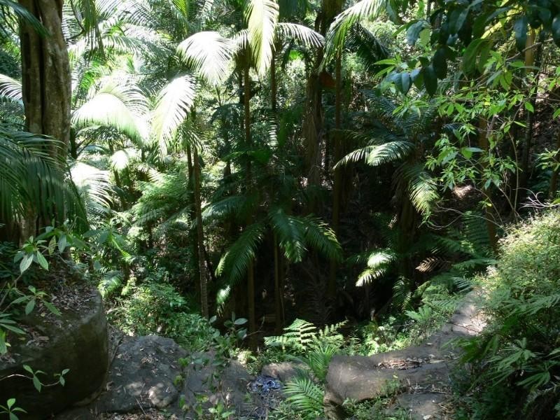 Ravensbourne QLD 4352