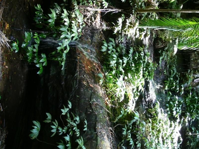 Ravensbourne QLD 4352