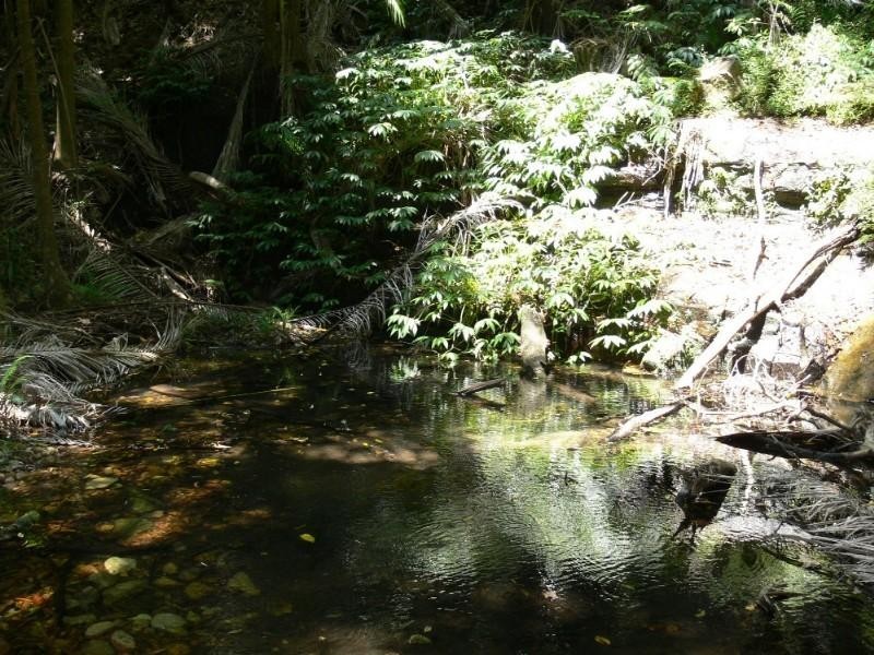 Ravensbourne QLD 4352