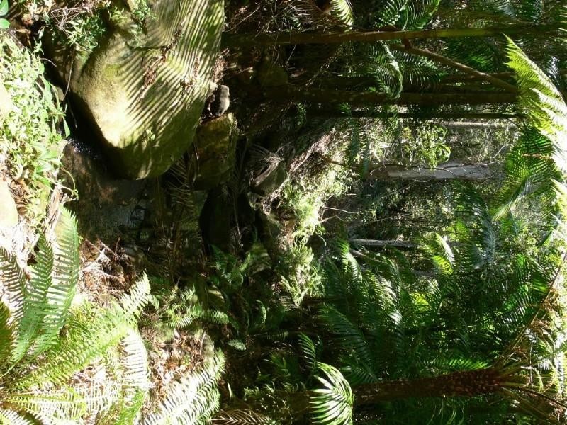 Ravensbourne QLD 4352