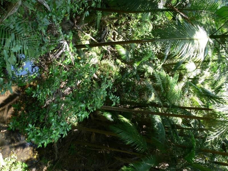 Ravensbourne QLD 4352