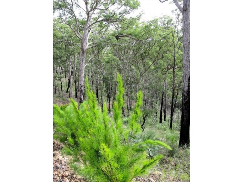 Ravensbourne QLD 4352