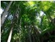 Ravensbourne QLD 4352