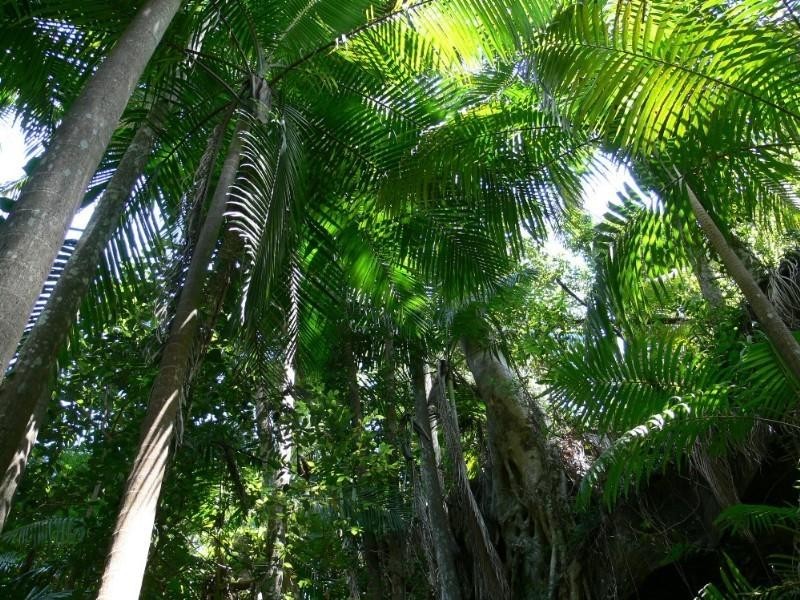 Ravensbourne QLD 4352
