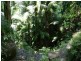 Ravensbourne QLD 4352