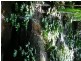 Ravensbourne QLD 4352